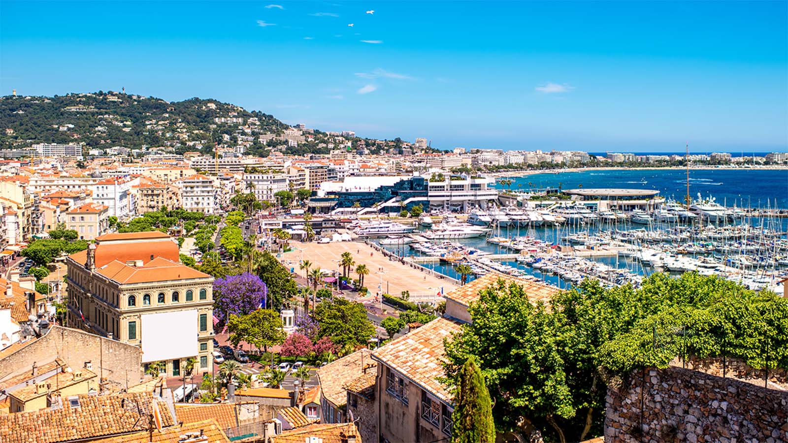 Cannes virtual reality tour