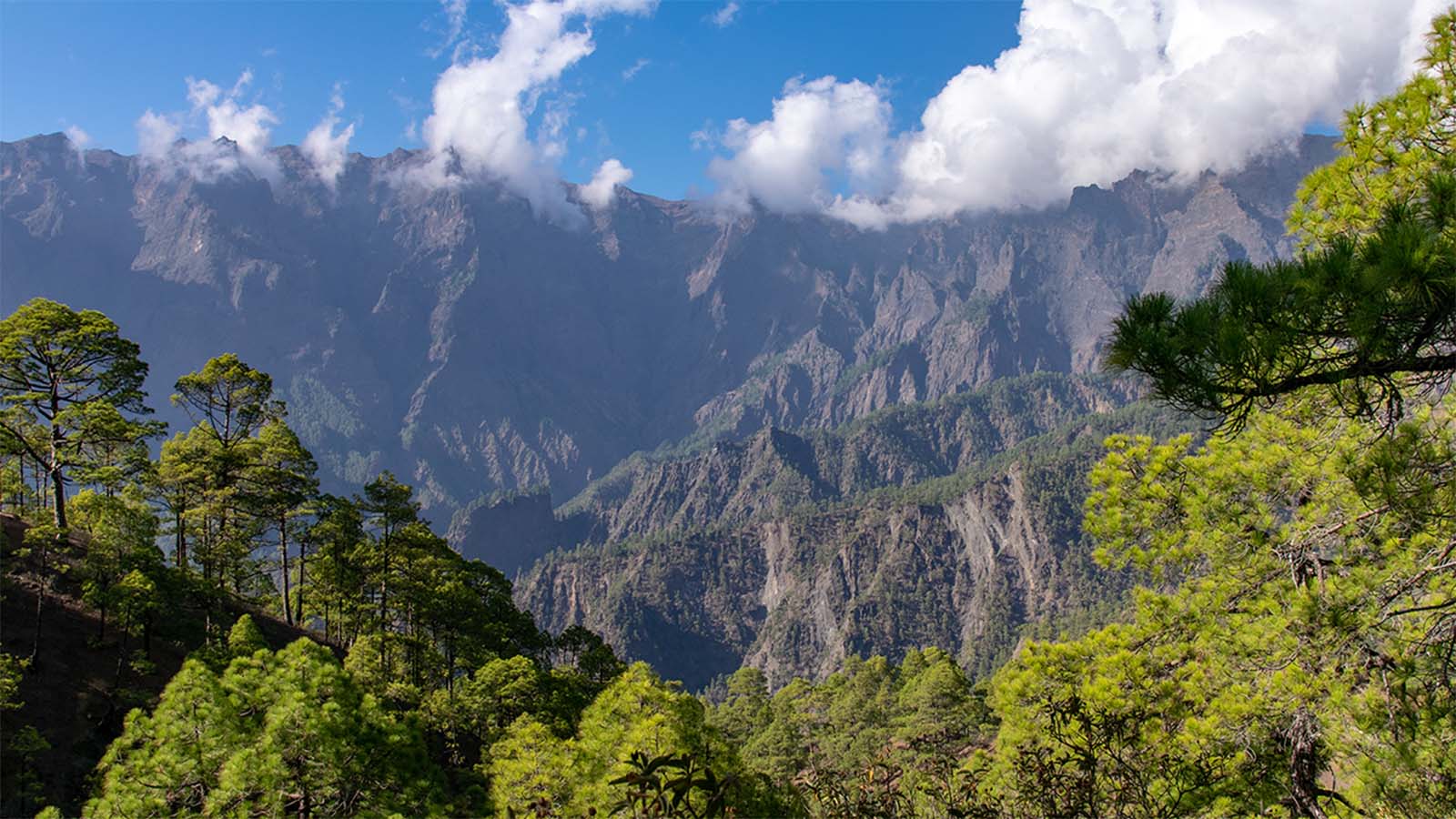 La Palma virtual reality tour