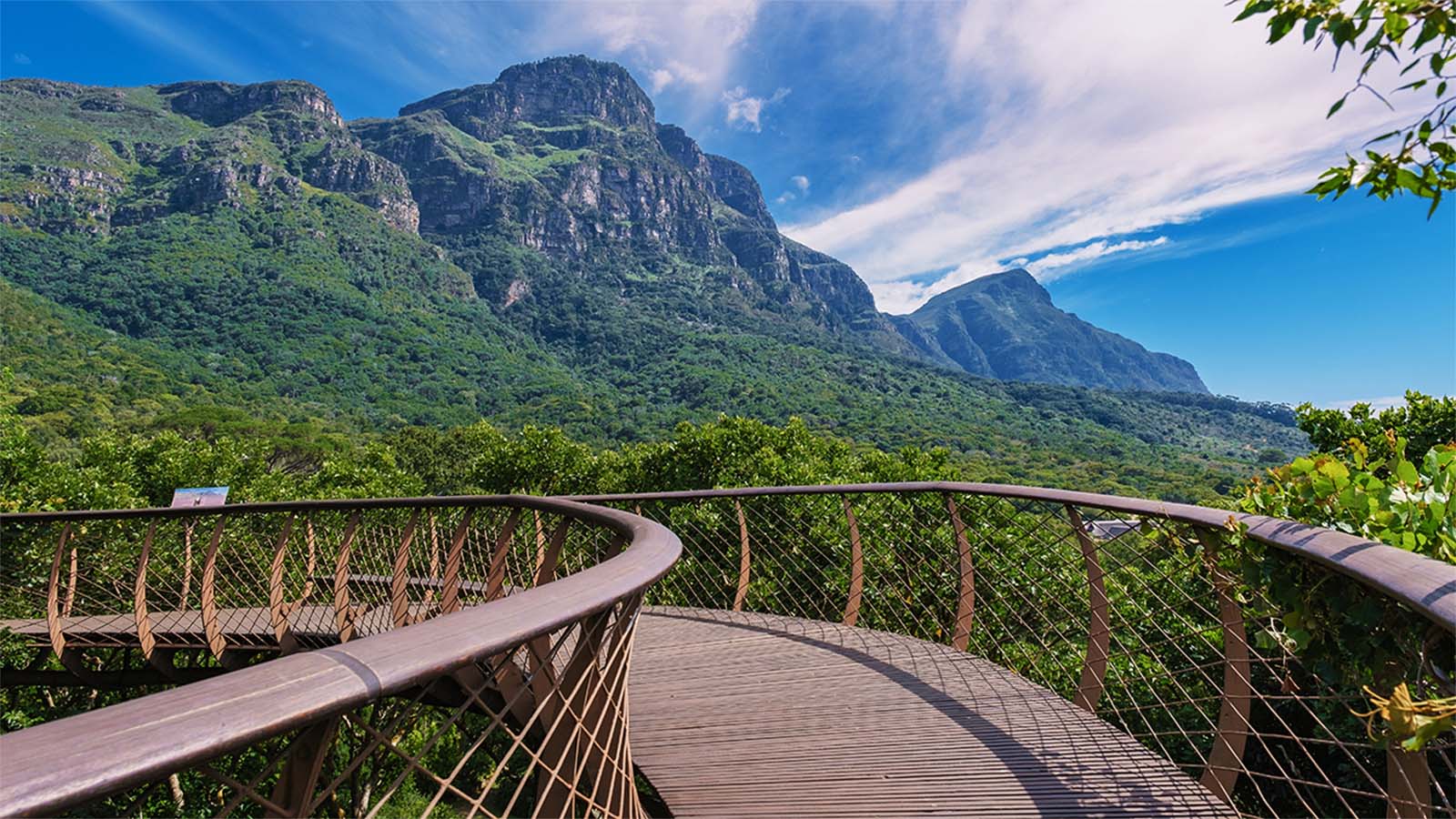 Descubre África: Vida Salvaje, Costas y Cultura en Realidad Virtual