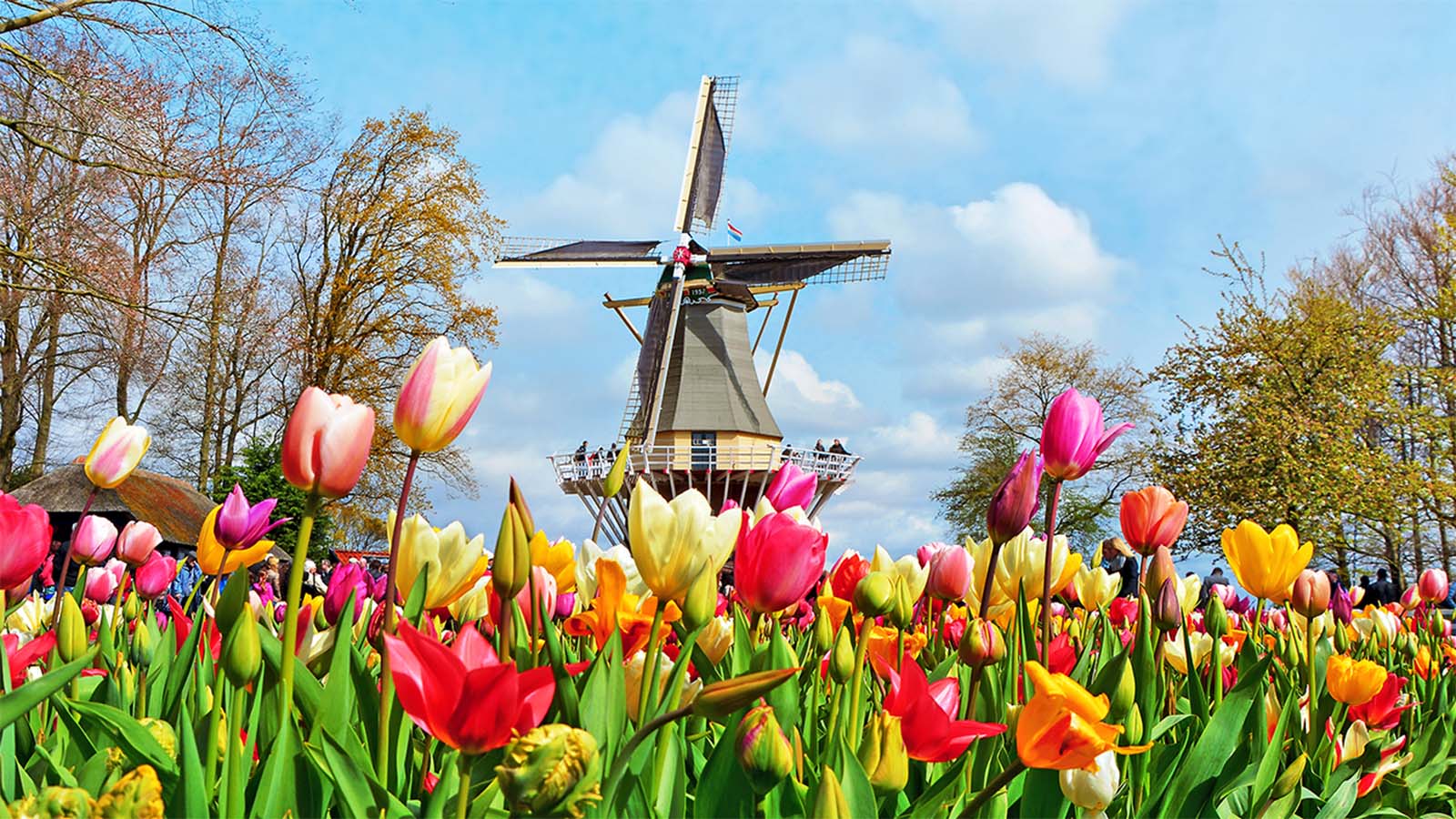 Keukenhof virtual reality tour