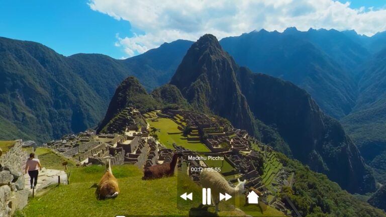 Machu Picchu