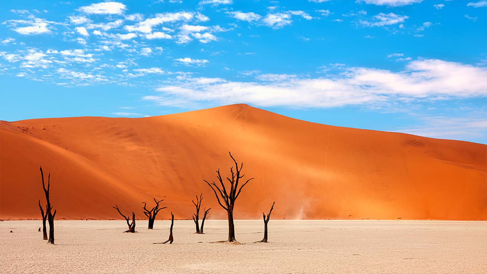 Sossusvlei virtual reality tour